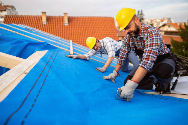 Best Storm Damage Roof Repair  in Apex, NC